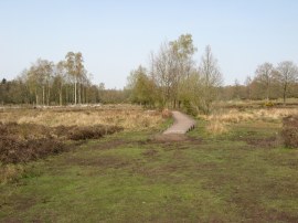 Hothfield Common